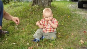 Emile2.1