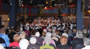 concertOiseau1