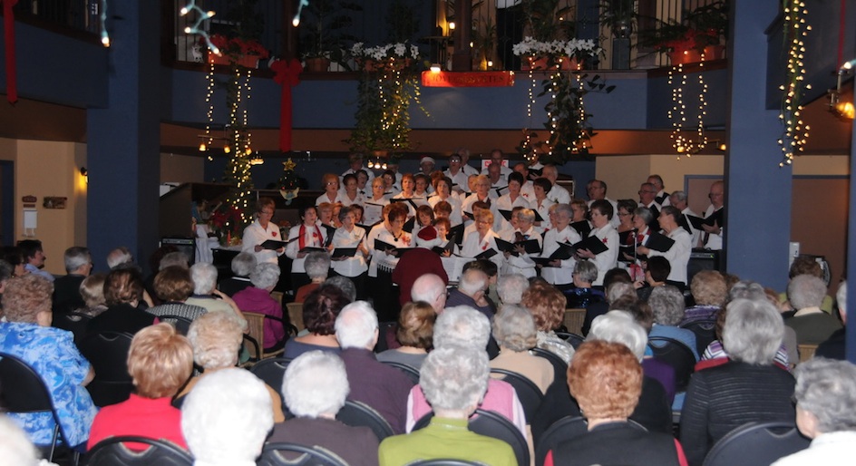 concertOiseau1