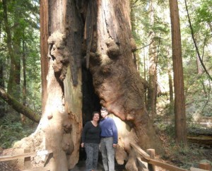 PHOTO 1 V. et S. Parc Yosemite