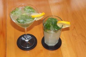 Mojito1_3790