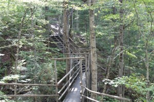 Parc7chutes1