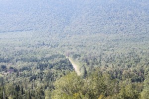 ForetBucherons