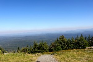 IMG_2283
