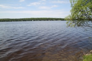 IMG_8728