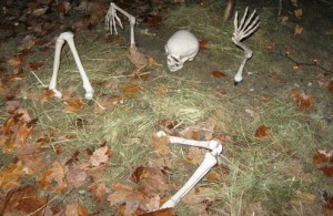 ILE MYSTERIEUSE -  halloween 2011