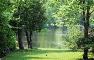 IMG_0090-1