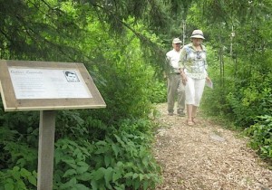 Entrée du sous-bois mini