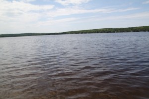 IMG_8727