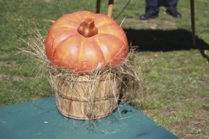 IMG_9897