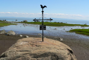 1-P1020909