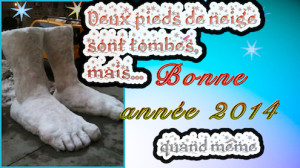 Bonneannée2014