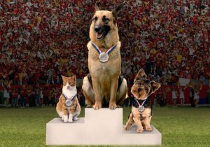 chienetchat sur podium
