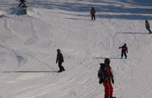 finsaisonski mars2014