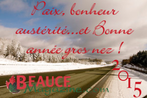 BonneAnnée2015
