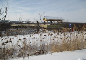 Passerelle Placide-poulin II 15-01-2015 006