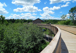 PasserellePlacide-Poulin