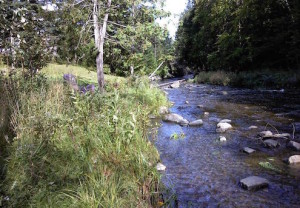 Ruisseau Ardoise