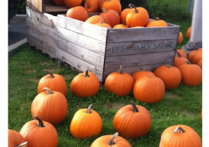 Citrouilles