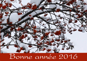 Bonneannée2016