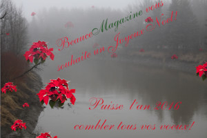 JoyeuxNoël2015-2