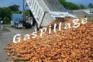 Gaspillagealimentaire
