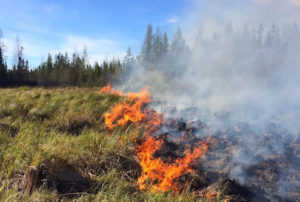 Feu d'herbeCrédit SOPFEU