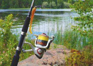 PêcheCanne