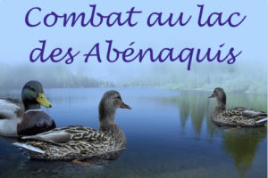 Combat au lac Abénaquis
