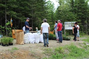 Arbres distributions APMHC
