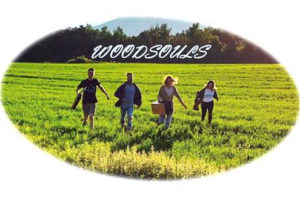 Woodsouls