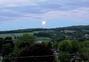 IMG_6419-2