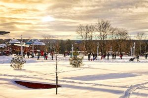 IMG_5259