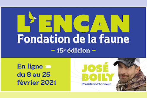 Encan-Faune-15e