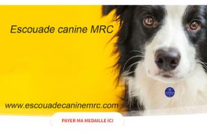Escouade-canine