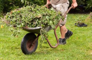 Garden work