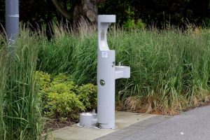 1 - Abreuvoir Fontaine
